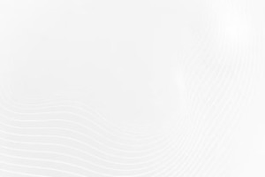 LISA - NEW PIONEER COMPANY